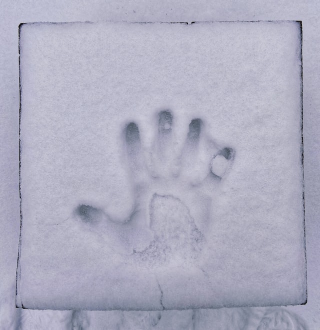 Leave Our Mark by Sam Tumblin