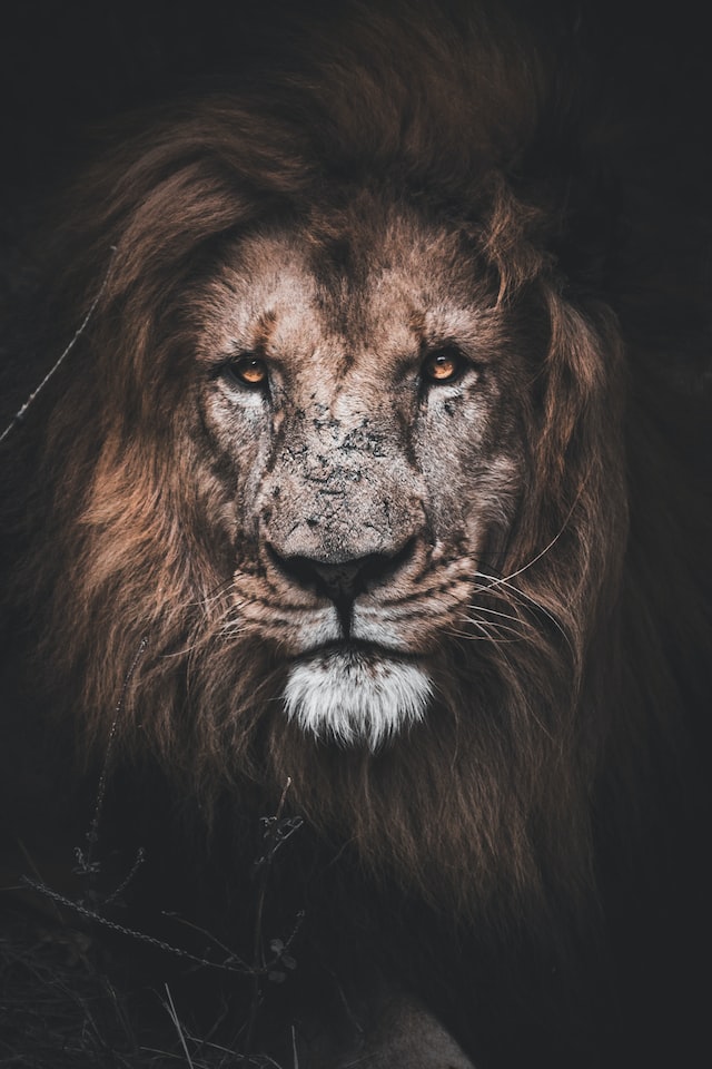Power by Sam&nbsp;Tumblin