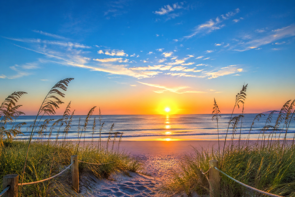 Blue Morning Grace
